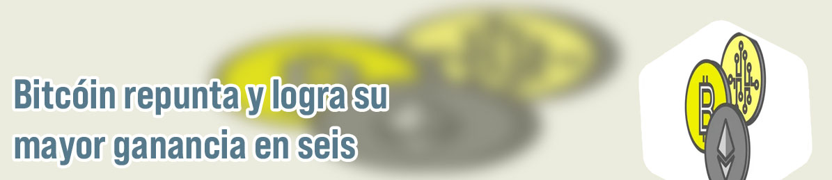 Porque se desploman las criptomonedas