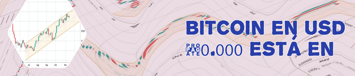 Precio del bitcoin en usd